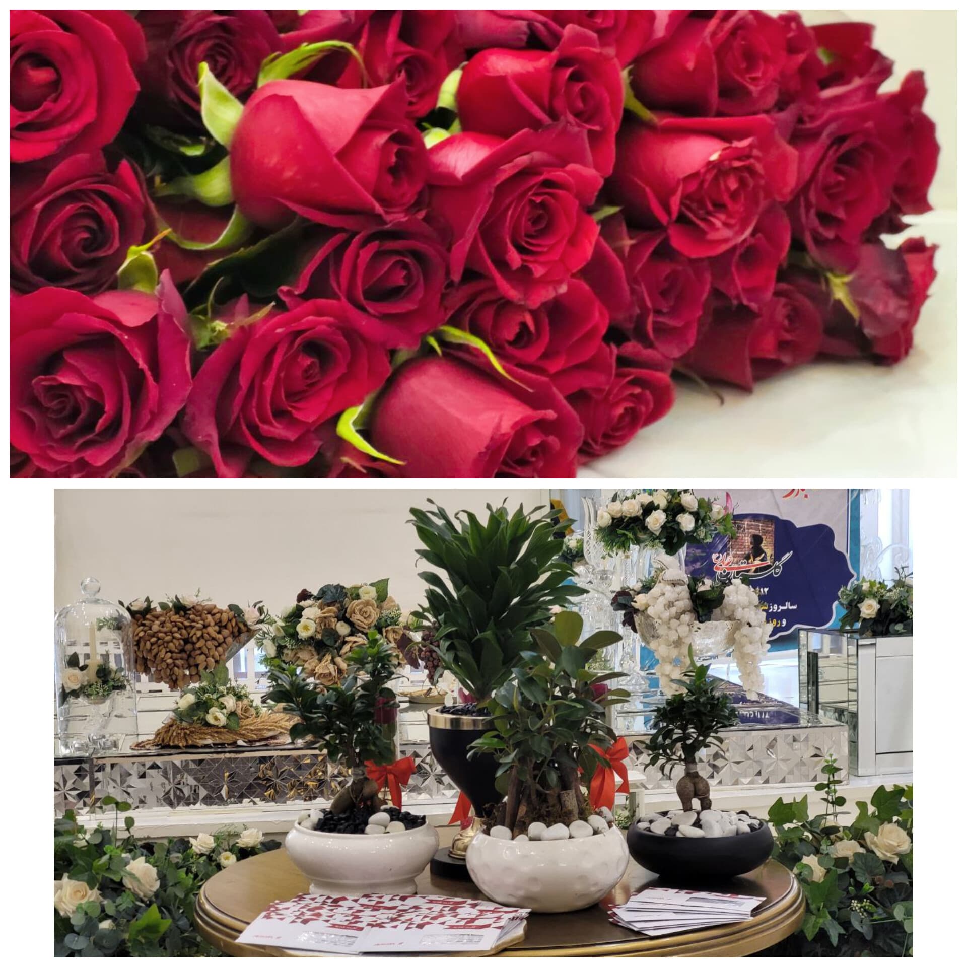 تقدیم به خالق فرداها